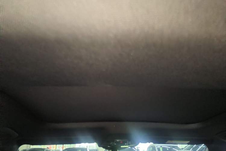 Used Audi A6L 2021 40 TFSI Luxury Dynamic Edition Headliner