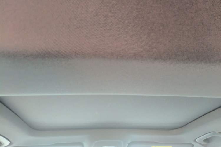 Used Audi A6L 2021 40 TFSI Luxury Dynamic Edition Headliner