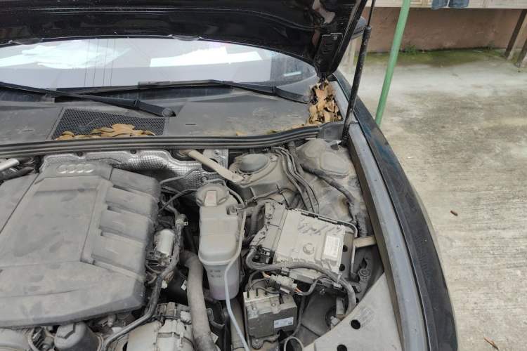 Used Audi A6L 2022 40 TFSI Luxury Dynamic Model Engine Bay Left