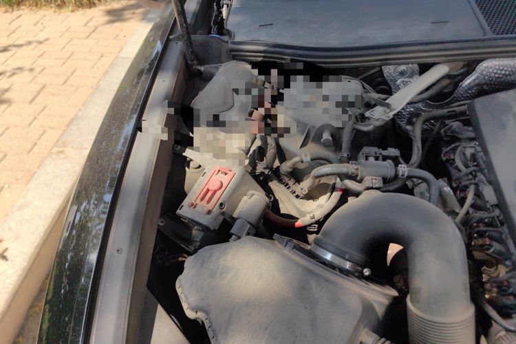 Used Audi A6L 2022 45 TFSI quattro Prestige Dynamic Edition Engine Bay Right