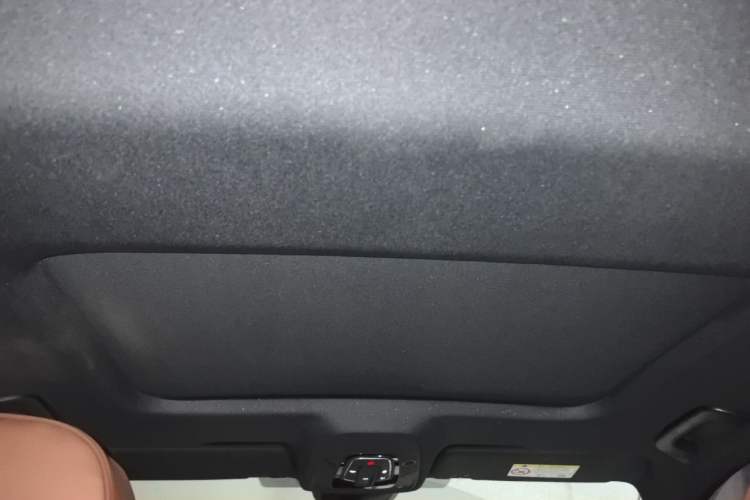 Used Audi A6L 2022 40 TFSI Luxury Dynamic Model Headliner