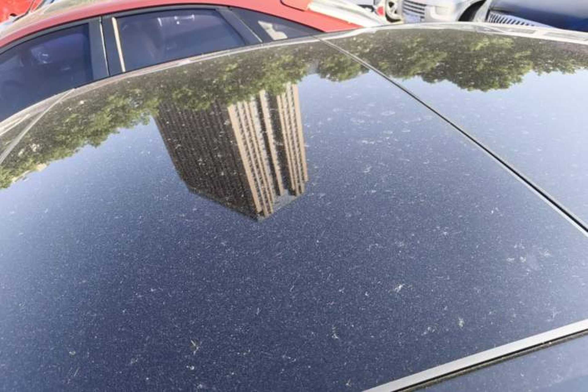 Used Audi A6L 2022 45 TFSI Prestige Dynamic Edition Roof