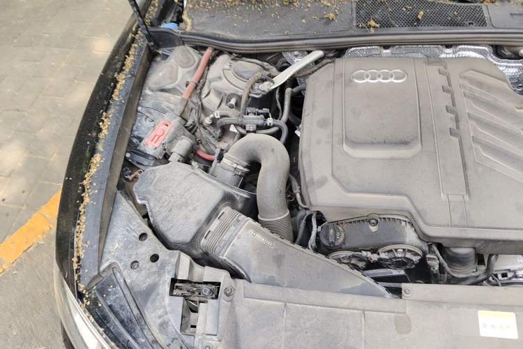 Used Audi A6L 2023 Revised 40 TFSI Luxury Dynamic Edition Engine Bay Right