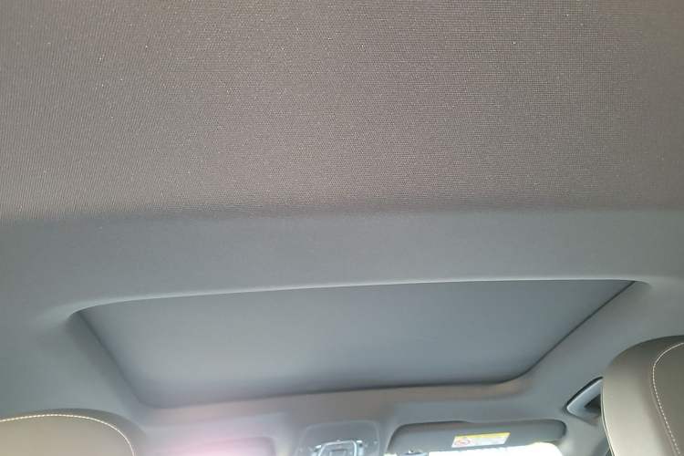 Used Audi A6L 2023 Revised 40 TFSI Luxury Dynamic Edition Headliner