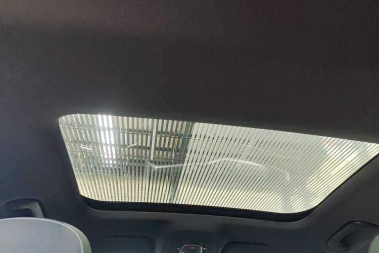 Used Audi A6L 2023 40 TFSI Luxury Dynamic Model Headliner