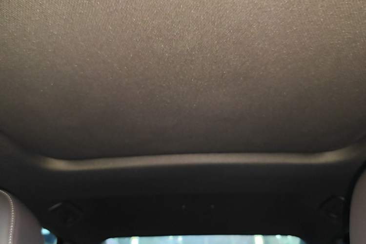 Used Audi A6L 2023 40 TFSI Luxury Dynamic Model Headliner