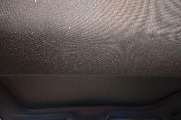 Used Audi A6L 2023 Revised 40 TFSI Luxury Dynamic Edition Headliner