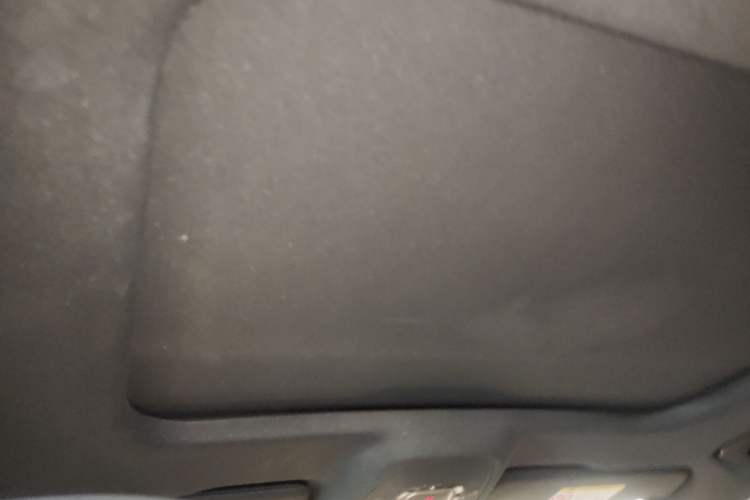Used Audi A6L 2023 40 TFSI Luxury Dynamic Model Headliner