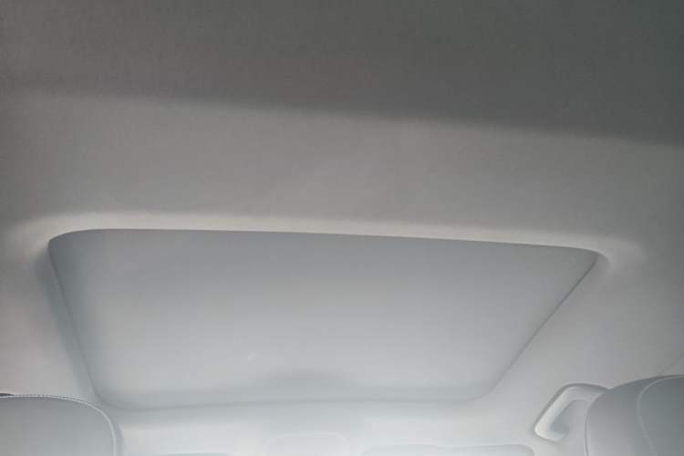 Used Audi A6L 2023 Revised 40 TFSI Luxury Dynamic Edition Headliner