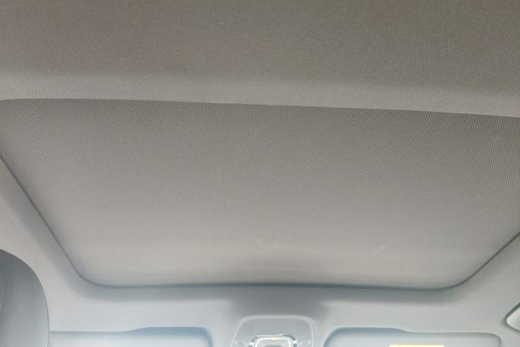 Used Audi A6L 2023 40 TFSI Luxury Dynamic Model Headliner