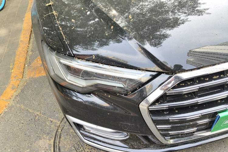 Used Audi A6L 2023 Revised 40 TFSI Luxury Dynamic Edition Right Front Headlight