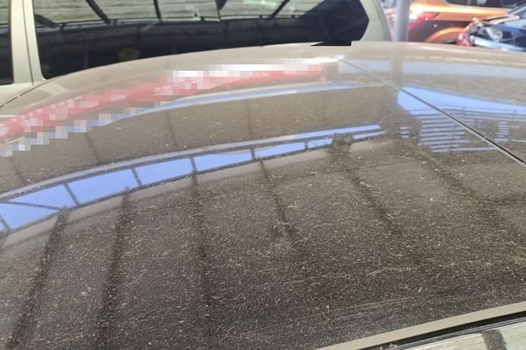 Used Audi A6L 2023 40 TFSI Luxury Dynamic Model Roof