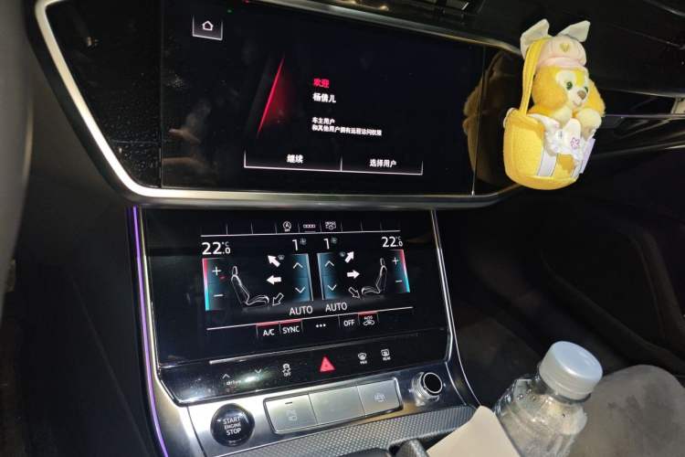 Used Audi A6L 2024 45 TFSI Prestige Dynamic Edition Audio And AC Panel