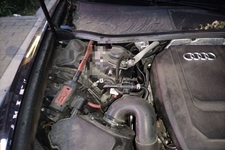 Used Audi A6L 2024 45 TFSI quattro Prestige Dynamic Edition Engine Bay Right