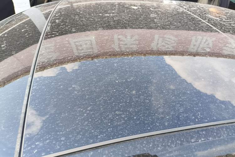 Used Audi A6L 2024 45 TFSI quattro Prestige Dynamic Edition Roof