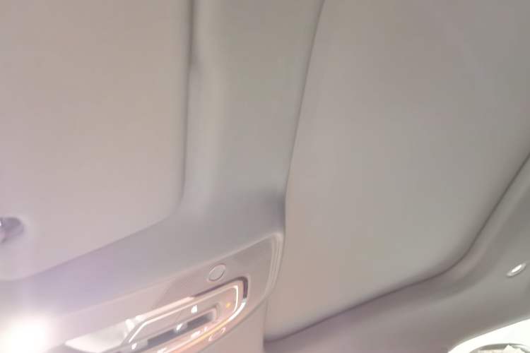 Used Audi A6L 2025 Revised 45 TFSI Prestige Dynamic Edition Headliner