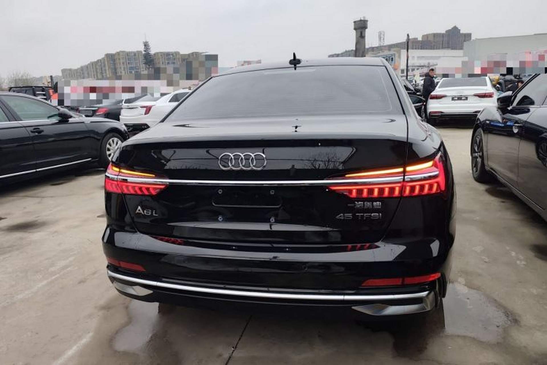 Used Audi A6L 2025 45 TFSI Prestige Dynamic Edition Rear