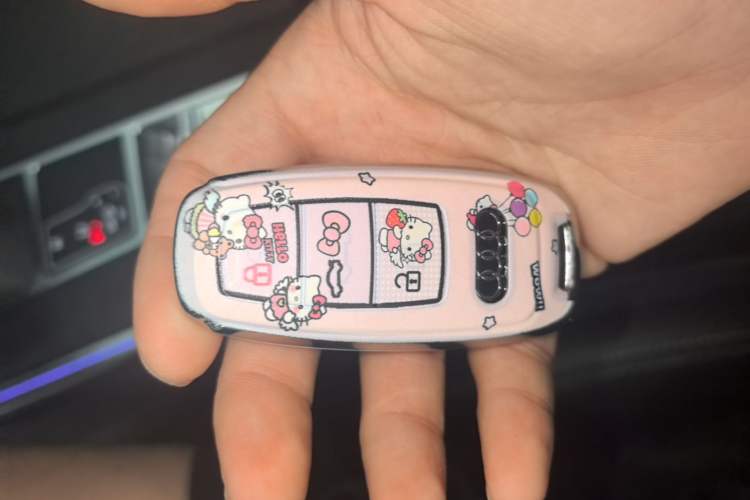 Used Audi A6L 2025 Restyled 45 TFSI quattro Prestige Dynamic Edition Vehicle Key