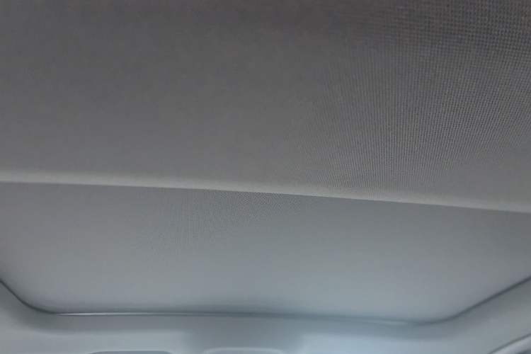 Used Audi A6L New Energy 2020 55 TFSI e quattro Headliner