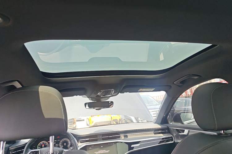 Used Audi A6L New Energy 2020 55 TFSI e quattro Headliner