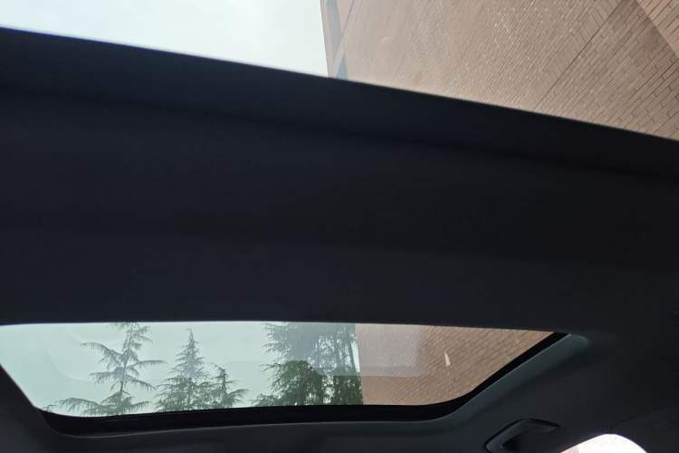 Used Audi A6L New Energy 2020 55 TFSI e quattro Headliner