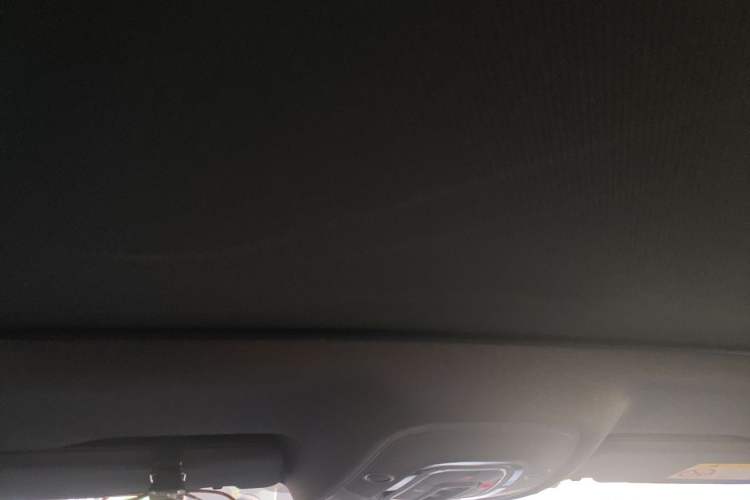 Used Audi A6L New Energy 2020 55 TFSI e quattro Headliner
