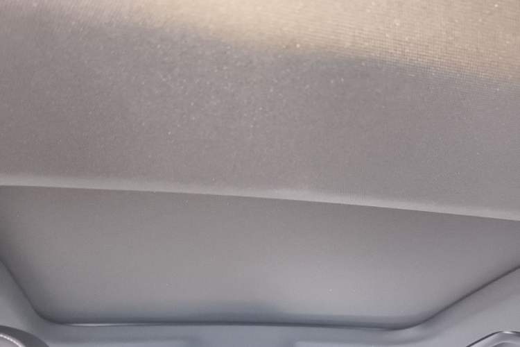 Used Audi A6L New Energy 2020 55 TFSI e quattro Headliner