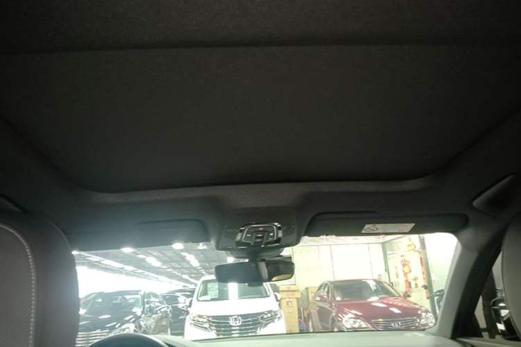 Used Audi A6L New Energy 2020 55 TFSI e quattro Headliner