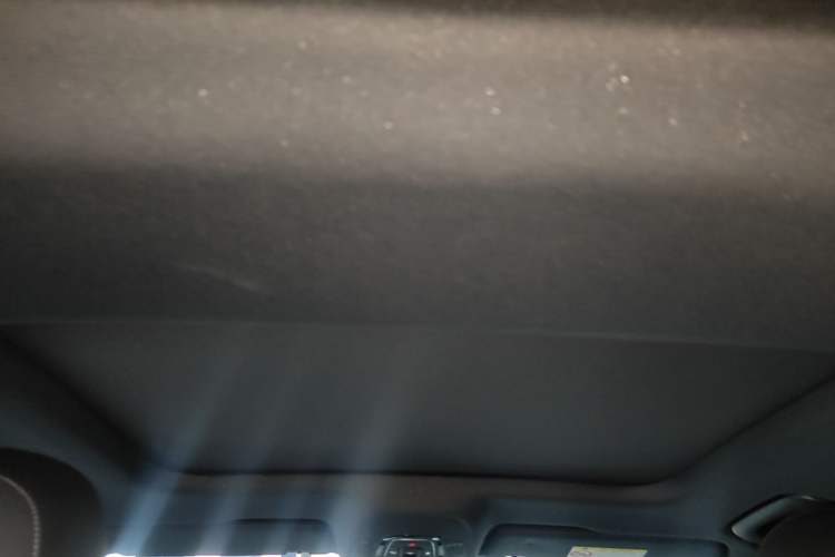 Used Audi A6L New Energy 2020 55 TFSI e quattro Headliner