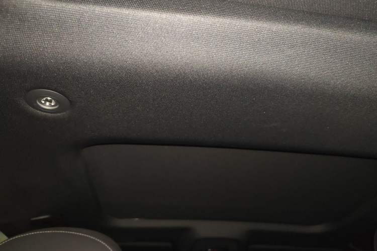 Used Audi A6L New Energy 2020 55 TFSI e quattro Headliner