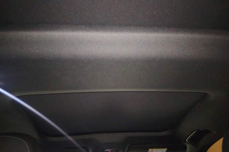 Used Audi A6L New Energy 2020 55 TFSI e quattro Headliner