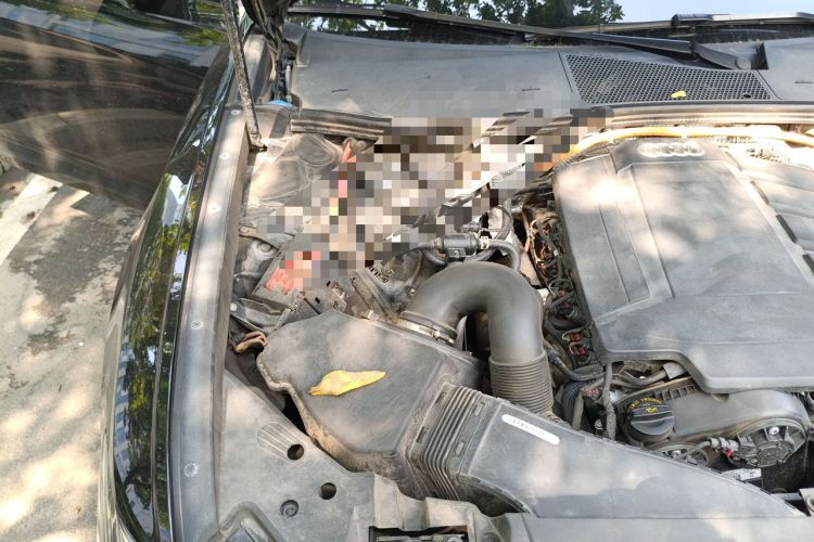 Used Audi A6L New Energy 2022 55 TFSI e quattro Engine Bay Right