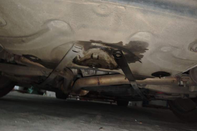 Used Audi A7 2013 50 TFSI quattro Comfort trim Chassis Rear