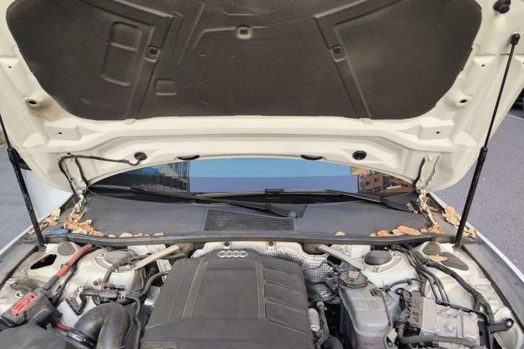 Used Audi A7 2021 40 TFSI Luxury Edition Engine Bay