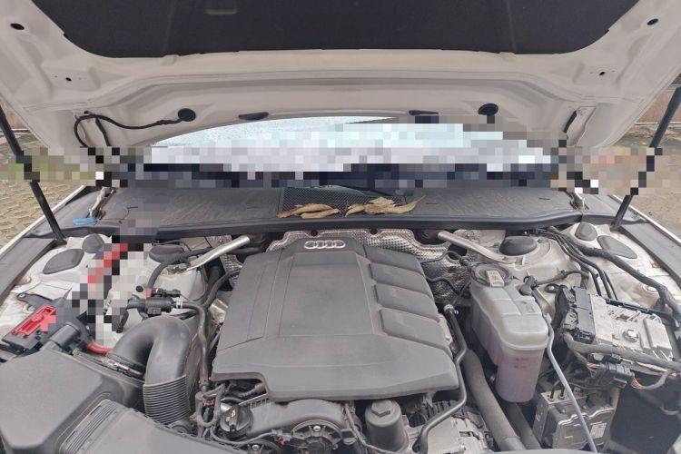 Used Audi A7 2022 45 TFSI Prestige Edition Engine Bay