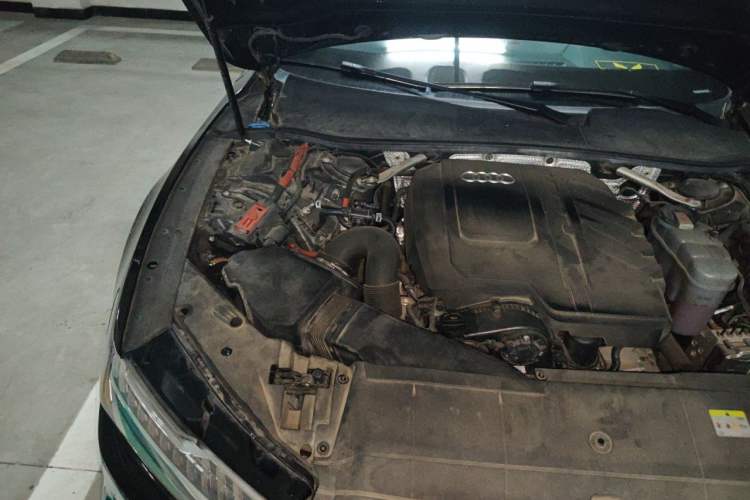 Used Audi A7L 2022 45 TFSI quattro S-line Wind Rider Engine Bay Right