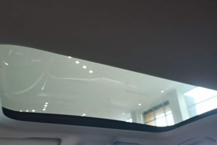 Used Audi A7L 2022 45 TFSI S-line Dream-Building Edition Headliner