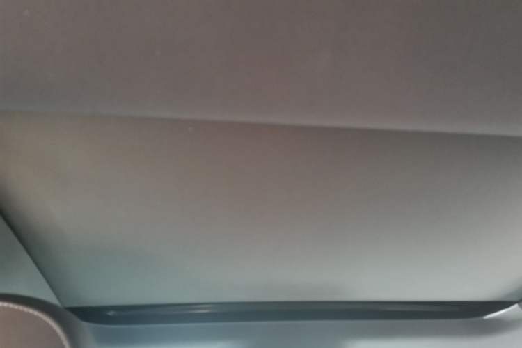 Used Audi A7L 2022 45 TFSI S-line Dream-Building Edition Headliner