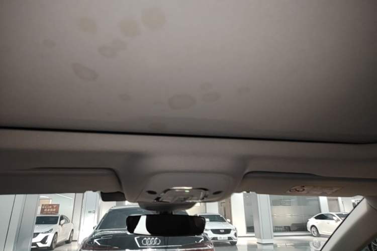 Used Audi A7L 2024 45 TFSI Luxury Edition Headliner