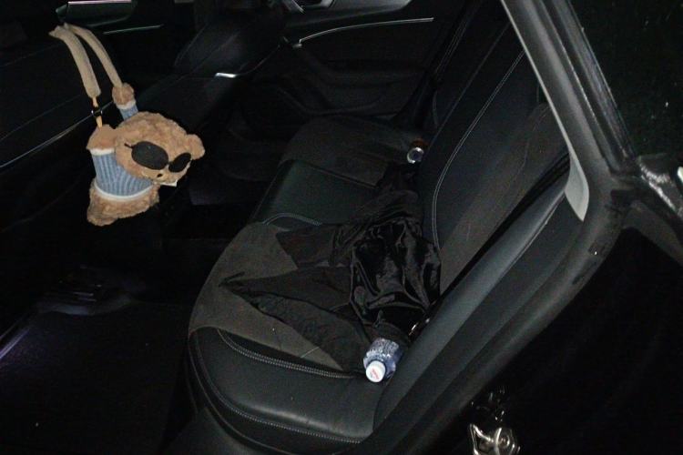 Used Audi A7L 2024 45 TFSI Luxury Edition Left Rear Seat