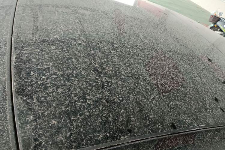 Used Audi A7L 2024 45 TFSI quattro Black Warrior Edition Roof