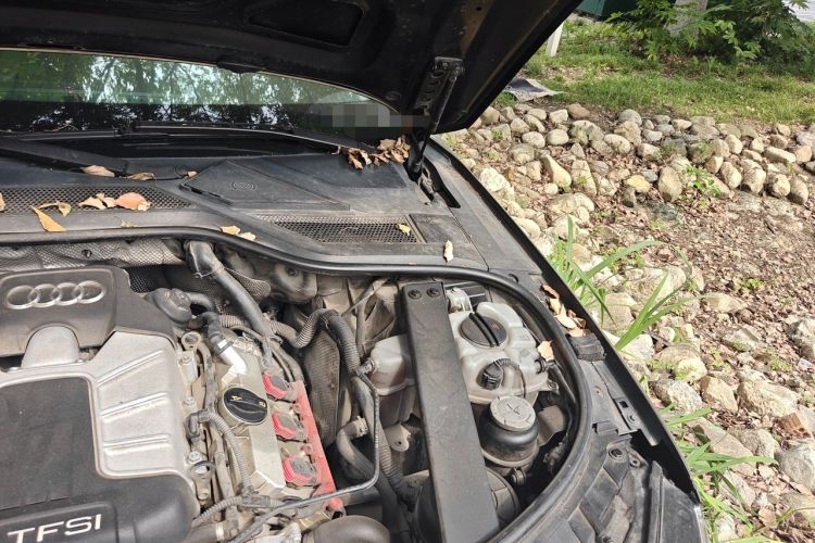 Used Audi A8 2013 A8L 45 TFSI quattro Comfort model Engine Bay Left