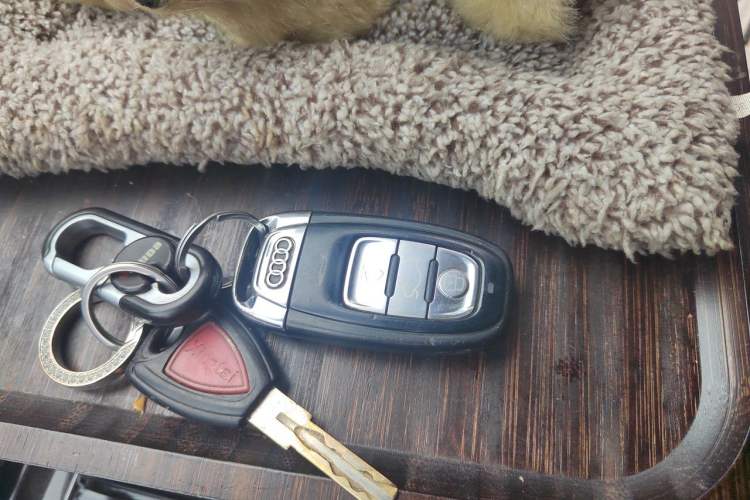 Used Audi A8 2013 A8L 50 TFSI quattro Prestige Edition Vehicle Key