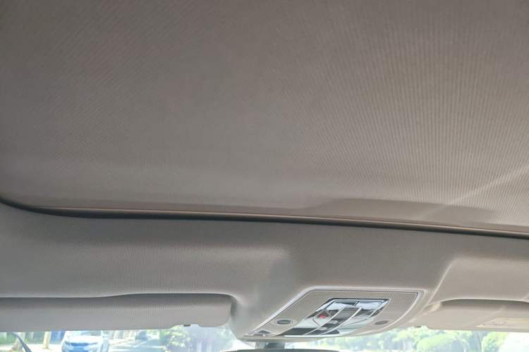 Used Audi A8 2018 A8L 55 TFSI quattro Luxury Edition Headliner