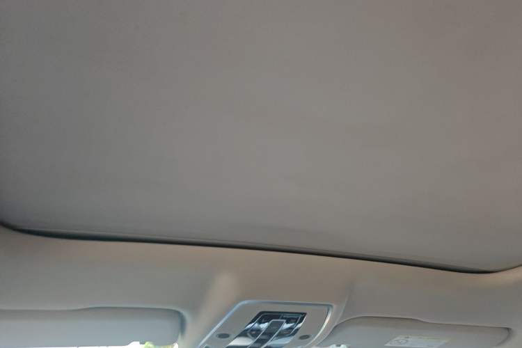 Used Audi A8 2019 Plus A8L 50 TFSI quattro Luxury Model Headliner