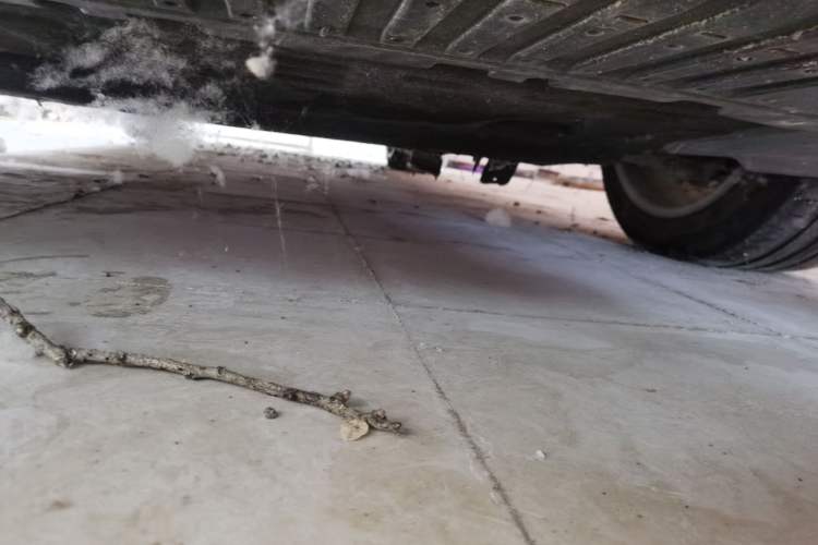 Used Audi A8  Chassis Front