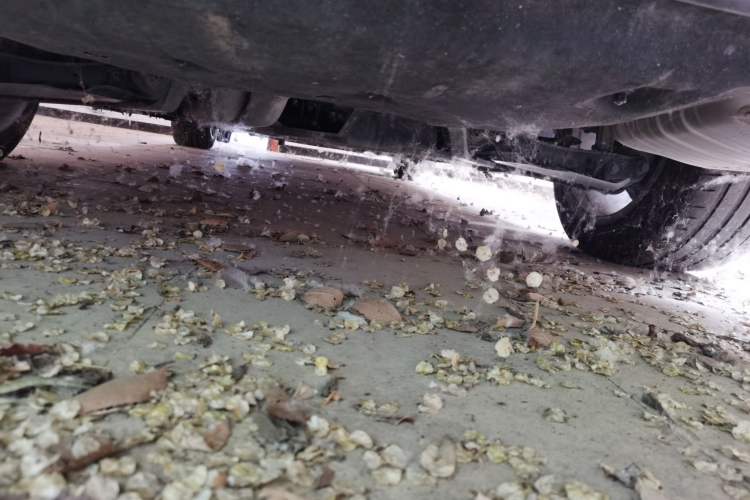 Used Audi A8  Chassis Rear