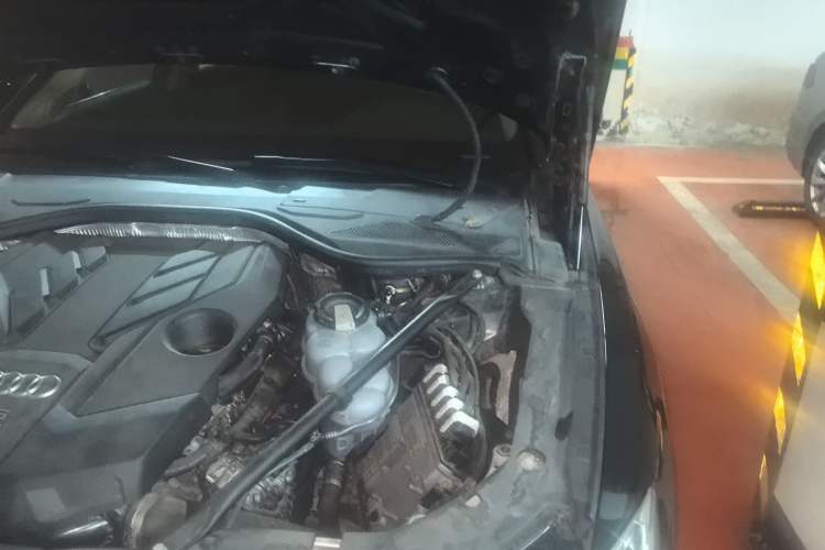 Used Audi A8 2021 A8L 50 TFSI quattro Comfort Model Engine Bay Left