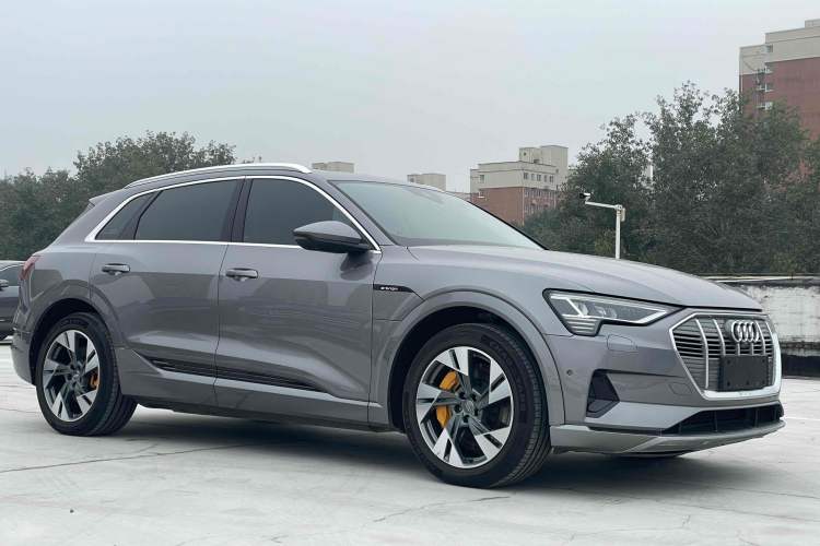 Used Audi e-tron 2019 55 quattro Technology Edition Exterior 5