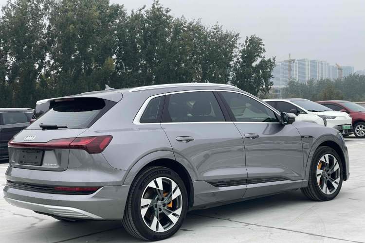 Used Audi e-tron 2019 55 quattro Technology Edition Exterior 8